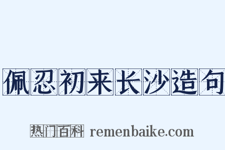 佩忍初来长沙造句是什么意思的图片